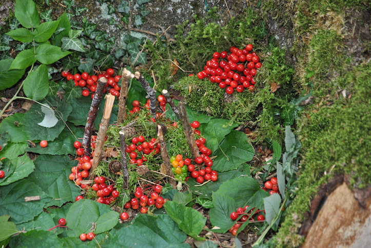 Catéchisme | Camp de catéchisme, 2014